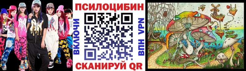 наркошоп  Котельниково  Галлюциногенные грибы Psilocybine cubensis 